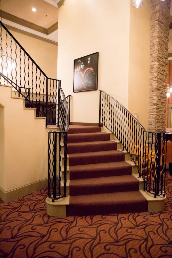 Homewood Suites By Hilton Houston-Woodlands-Shenandoah Зе-Вудлендс Экстерьер фото
