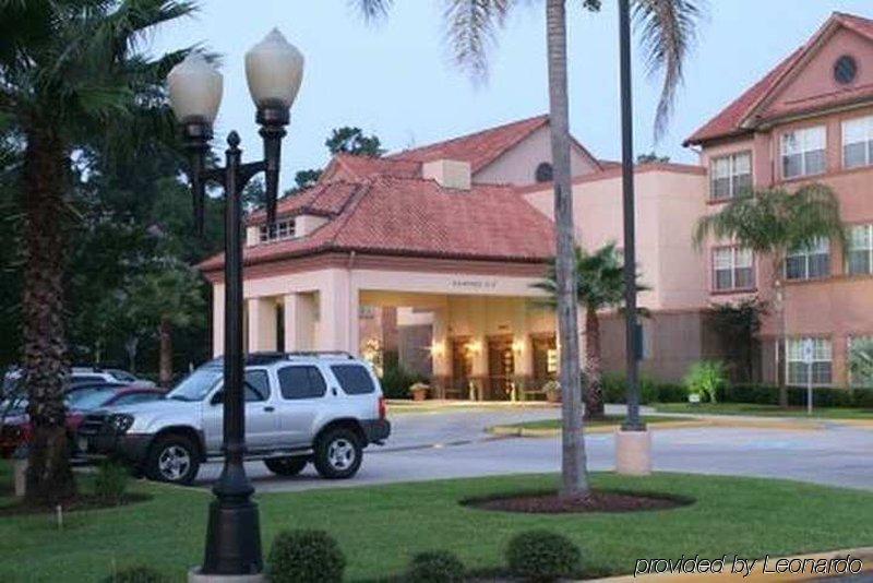 Homewood Suites By Hilton Houston-Woodlands-Shenandoah Зе-Вудлендс Экстерьер фото
